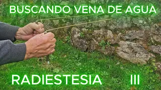 Buscando venas de agua con las varillas(RADIESTESIA)PARTE III #pozos #funny #fypシ゚viral #fyp