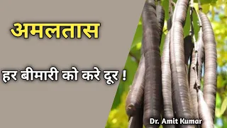 Amaltas Har Bimari Ko Kre Door !