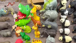 🔢 Count to 5 with Animal Toys! Fun Math for Toddlers & Preschoolers