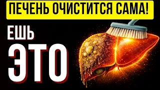 СТОП ГЕПАТОЗ! Золотая еда для печени: 5 продуктов, которые выгоняют жир (Научный подход 2026)