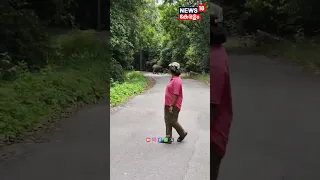 ചുരം പാതയില്‍ ബൈക്കിന് മുന്നിൽ കാട്ടാന; അദ്ധ്യാപകൻ രക്ഷപെട്ടത് തലനാരിഴക്ക് | Nelliyampathy | N18S