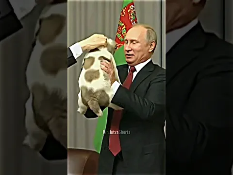 Great Leaders Always Love Animals #respect #putin #modi #sigma
