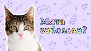 МЯТА БОЛЕЕТ? ЧТО С ЕЁ ЗДОРОВЬЕМ?!