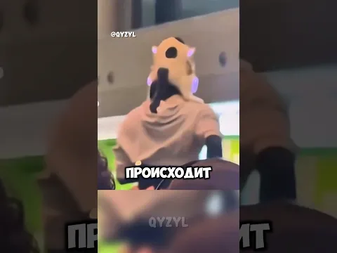 Он пытался пронести кота на голове
