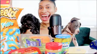 EATING SNACKS WITH MY DOGS (ASMR)