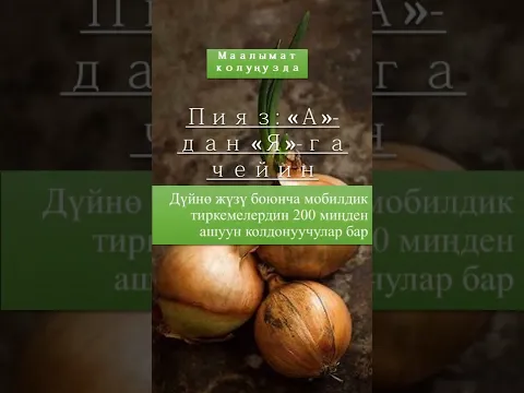 Уюлдук тиркеме Пияз А-дан Я-га чейин