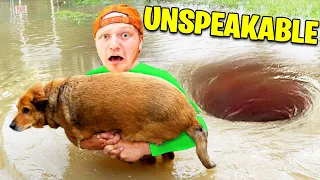 8 YouTubers Who SAVED ANIMALS LIVES! (Unspeakable, Preston, Aphmau)