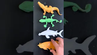 fish, mouse, frog