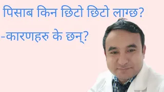 Increase urination in Nepali|Dr Bhupendra Shah|doctor sathi