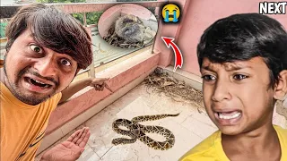 🐍 GHAR ME Ghusa खतरनाक Snake 😱😭 VERY SAD