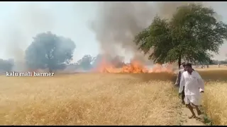 बालोतरा के बिठुजा की तस्वीरें।।।