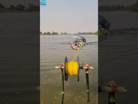 Underwater big fishing with unique trap system #fish #trap #fishing #viral #shorts #viral_shorts