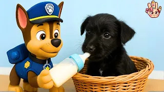 🐶 ¡LANA BEBÉ llega a la Patrulla Canina! Aventuras Divertidas en Español