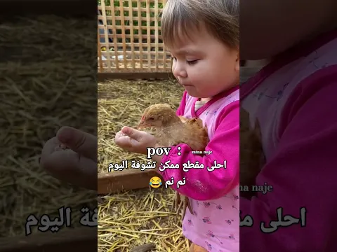 احلى مقطع ممكن تشوفة اليوم 😂💔#مثنى_ناجي