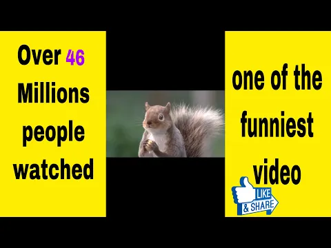 this is hilarious 🤣 #shorts Like 👍🏼 for more