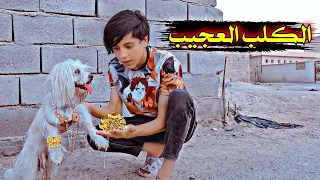 فلم قصير //الكلب العجيب 💔قصه واقعيه#يوميات رضاوي