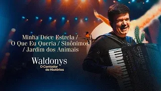 MEDLEY SUCESSOS - Waldonys (DVD Waldonys, o Cantador de Histórias)