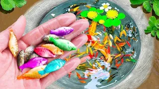 Catch Beautiful Aquarium Ornamental Fish in Giant Colorful Eggs, Guppies, Eel, Koi, Catfish, Turtle