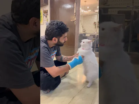 Rani 🐈 jaegi school 😍 #ashortaday #tranding #cat #minivlog #viralshort