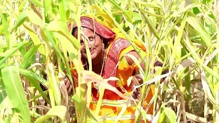 Anita ji jaunpuriya#shorts #shortsvideo #shortsfeed #shortsyoutube #shortsviral #ट्रेंडिंग