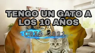 tengo un gato a los 10 años. abro hilo