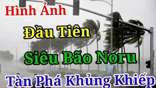 Yama TrựcTiếpSiêu Bão Noro Đà Nẵng