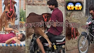 😱😱 इनका भी इतना दिमाग होता है घर से बाहर नहीं जाने दे रहा