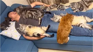 Funniest & Cutest Cats of 2026 😹💛