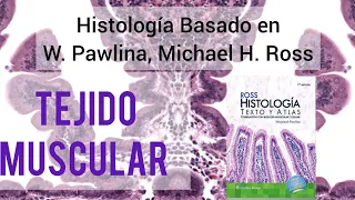 TEJIDO MUSCULAR: ¿Liso, Estriado o Cardíaco? Aprende a diferenciarlos