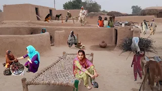 Old Age People Life in Punjab Village || women life in Punjab Village || Punjabi village Lifestyle