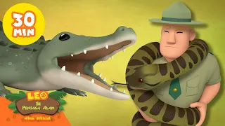 Merayakan Hari Steve Irwin, si "Pemburu Buaya"! 🐊 | Leo Si Penjaga Alam | #hewan