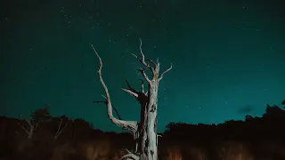 New Zealand - The Most Beautiful Country On Earth