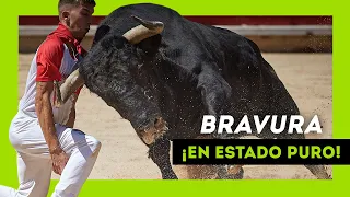 Los TOROS SALVAJES más BRAVOS soltados en 2024 ¡Qué ANIMAL!