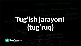 Tugʻish jarayoni (tugʻruq) | Homiladorlik va homiladorlik asoratlari | Tibbiyot