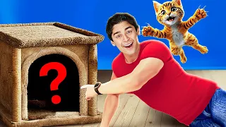 WHAT’S IN THE MYSTERY BOX?! 📦🐱 Cat vs Dog Challenge! | Meow-some! Reacts
