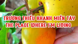 KHU VƯỜN THẬP CẨM CỦA TRƯƠNG THIẾU KHANH. 💜