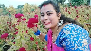 আমি একটা ফুলের বাগানে বেড়াতে গিয়েছিলাম @brightkarabislifestyle1660