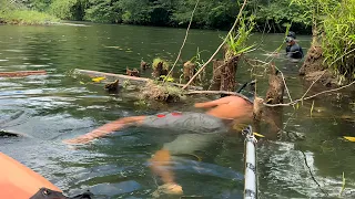 Pescando en un rio precioso y encontramos la casa de los robalos