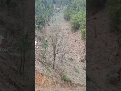 La Cacería o misterio