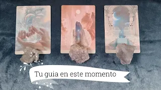 Que necesitas saber Ahora mismo Tu guia para este momento en la vida