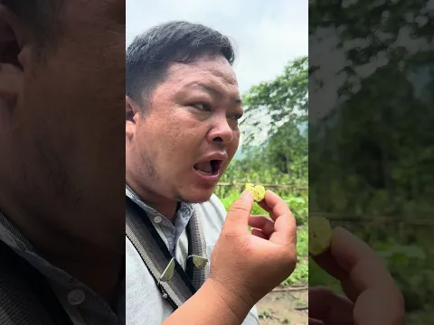 Don't eat fallen fruit, everyone
