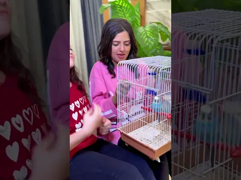 اكل العصفور 😯 The bird ate #funny  #sigma