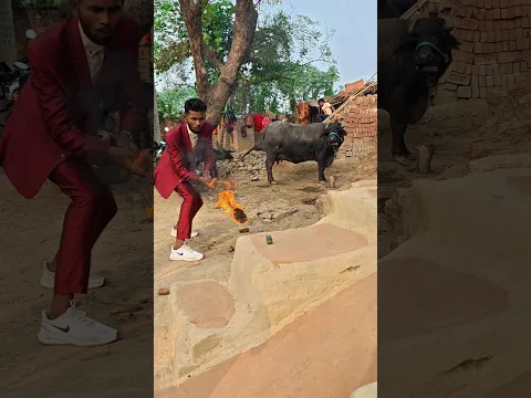 fusshi bom ka dhamaka 😱😱 #shorts #trendingshorts #viral #youtubeshorts #comedy #entertainment