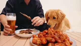 城市打工族为什么要养狗？Why do urban workers keep dogs?