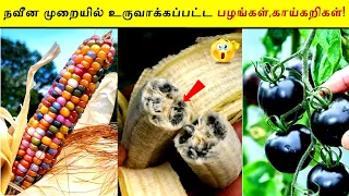 நவீன முறையில் உருவாக்கப்பட்ட பழங்கள்,காய்கறிகள்! | Genetically modified | Trendy Sky Tamil | Tamil |