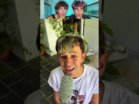 Quién canta mejor?😂