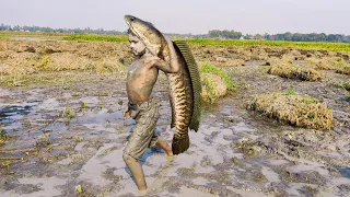 😲Big Fish Trap In Mud Water | Amazing Boy Catching Big Fish | Best Hand Fishing Video