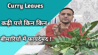Curry Leaves | कढ़ी पत्ते किन किन बीमारियों में फायदेमंद !