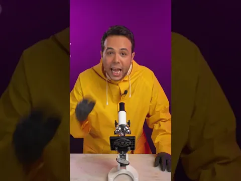 مية مطرة من علي الارض تحت الميكروسكوب
