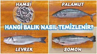 Hangi Balık Nasıl Açılır, Nasıl Temizlenir? | Ustasından Öğren